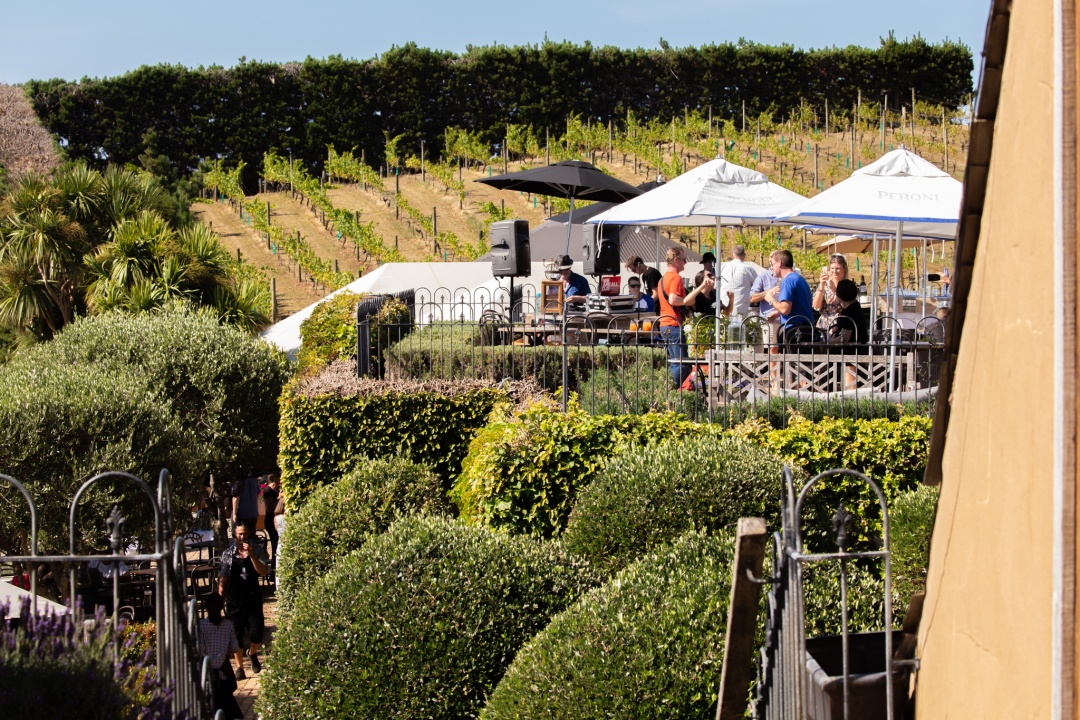 Photo of guests mingling on the rooftop at Mudbrick Vineyard & Restaurant